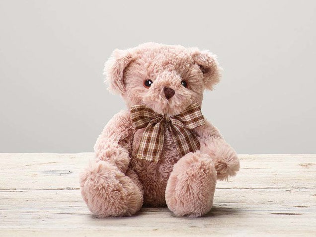 James Junior Bear image