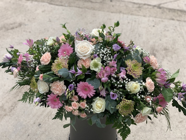 Photo 26 04 2025, 10 55 11