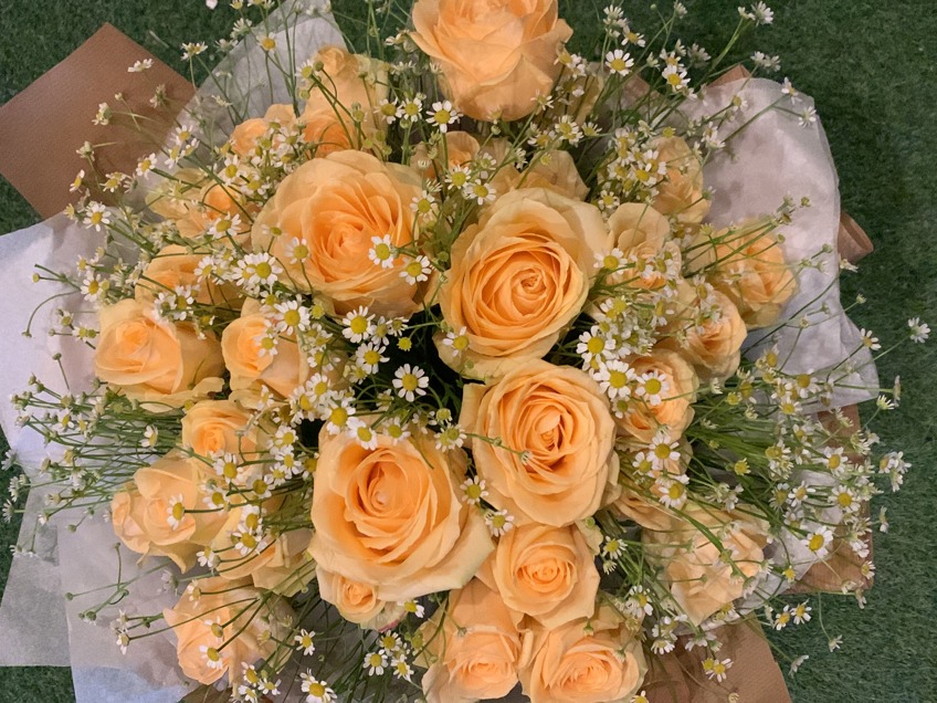 Peaches and Cream image